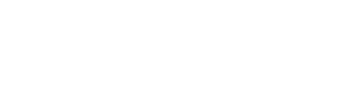 Sponsors